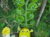 orto-di-mira-omino-verde orto-di-mira-omino-verde